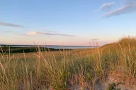 Marthas Vineyard Sightseeing Tour thumbnail 2