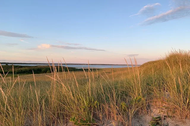 Marthas Vineyard Sightseeing Tour - Image 2