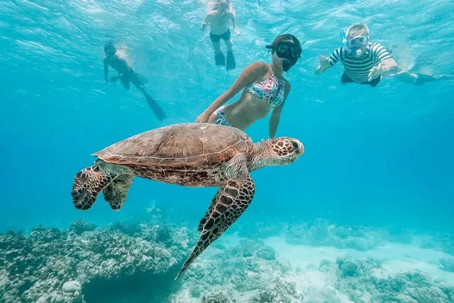 Waikiki Snorkeling Tour with Sea Turtles - Image 5