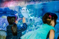 Auburn Hills Aquarium Admission thumbnail 3