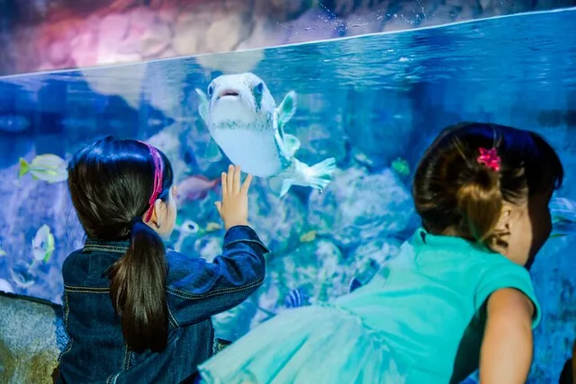 Auburn Hills Aquarium Admission - Image 3