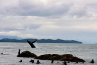Ketchikan Snorkeling Adventure at Mountain Point thumbnail 3