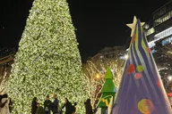 Washington D.C. Christmas Tree & Holiday Lights Tour thumbnail 1