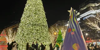 Washington D.C. Christmas Tree & Holiday Lights Tour