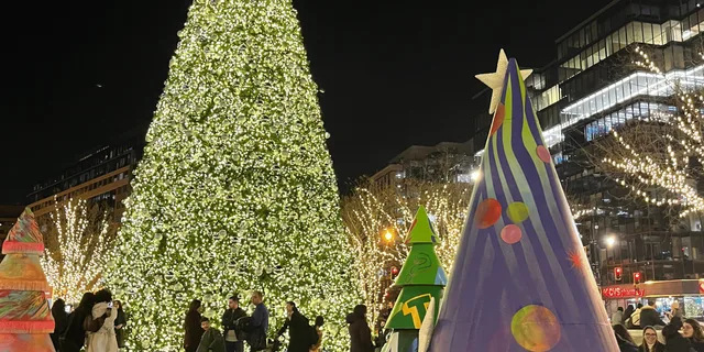 Washington D.C. Christmas Tree & Holiday Lights Tour - Image 1