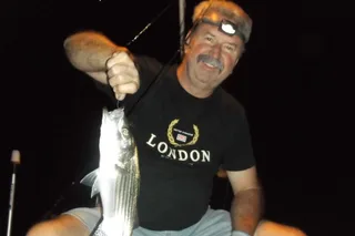 Lake Mead Striped Bass Fishing