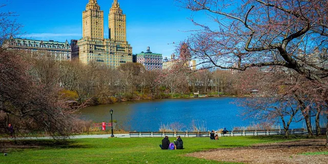 New York Central Park Pedicab Tour with Photo Stops - Image 5