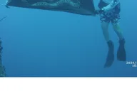 Key West Vandenberg Wreck Dive 4.5 hr thumbnail 1