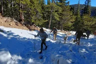 Denver Rockies Guided Hike Half Day thumbnail 5