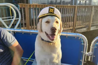 Naples Dog-Friendly Boat Tour to Keewaydin Island