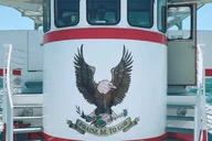 Destin Dolphin Cruise on a Glass-Bottom Boat thumbnail 4