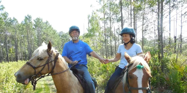 Amelia Island Horseback Ride at Pumpkin Hill 2 hr - Image 2