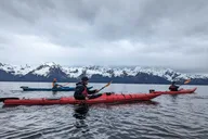Seward Kayak Adventure in Resurrection Bay thumbnail 2
