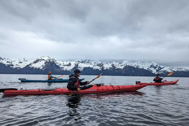 Seward Kayak Adventure in Resurrection Bay - Image 2