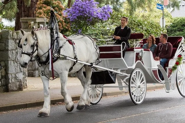 New York Horse Carriage Ride in Central Park 45 min - Image 6