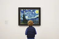 New York Museum of Modern Art and Walking Tour thumbnail 1