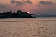 Sarasota Kayak Rentals and Wildlife Watch thumbnail 3
