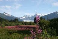 Juneau City Tour 90 min thumbnail 3