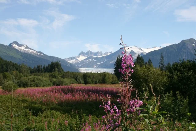 Juneau City Tour 90 min - Image 3