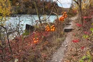 Niagara River Gorge Hiking Tour thumbnail 4