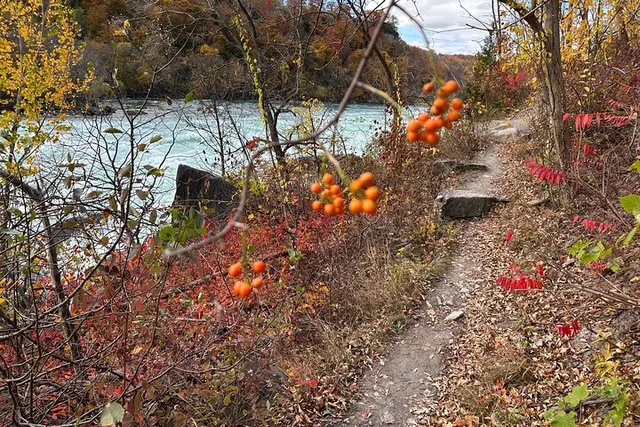 Niagara River Gorge Hiking Tour - Image 4