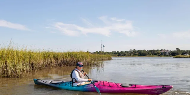 Charleston Folly River Kayak Dolphin Safari at Sunset - Image 3
