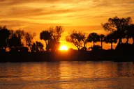 Hilton Head Dolphin Cruise at Sunset 90 min thumbnail 4
