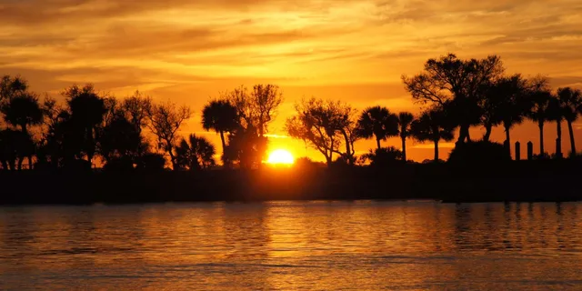 Hilton Head Dolphin Cruise at Sunset 90 min - Image 4