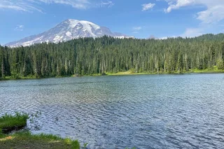 Seattle Mt Rainier National Park Private SUV Tour