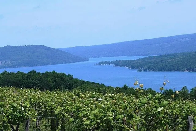 Keuka Lake Winery Tour - Image 1