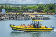 Haleiwa Whale Watching Tour 1.5 hr thumbnail 4