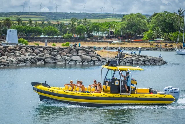 Haleiwa Whale Watching Tour 1.5 hr - Image 4