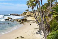 Anaheim Whale-Watching and Orange County Beaches Tour thumbnail 1