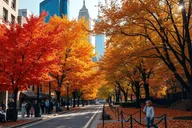 New York City App-Guided Walking Tour thumbnail 2