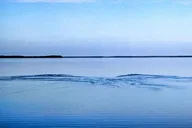 Homosassa Inshore Fishing Charter thumbnail 4