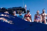 Maui Molokini Crater and Turtle Town Snorkeling Tour 3 hr thumbnail 4