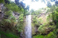Kauai Wailua River Kayak and Waterfall Adventure thumbnail 3