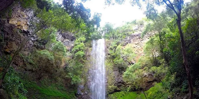 Kauai Wailua River Kayak and Waterfall Adventure - Image 3