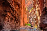 Las Vegas Zion National Park Day Trip thumbnail 6