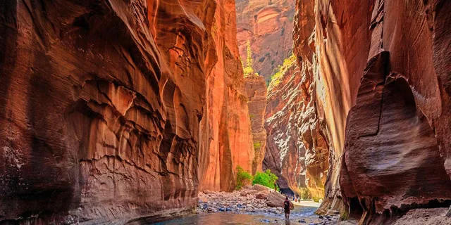 Las Vegas Zion National Park Day Trip - Image 6