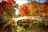 New York Central Park Outdoor Escape Adventure 1 hr thumbnail 5