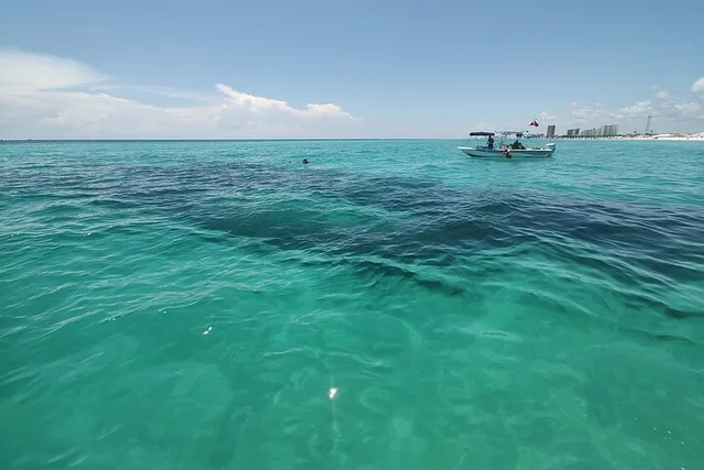Panama City Dolphin Sightseeing Adventure - Image 6