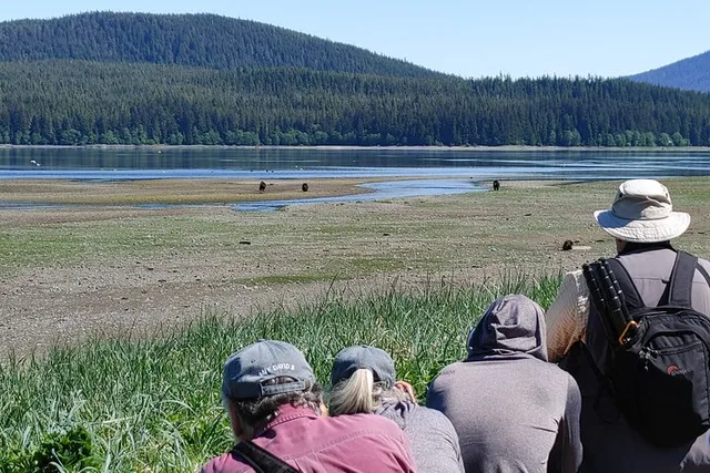 Juneau Bear Viewing at Pack Creek 6 hr - Image 6