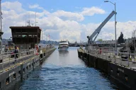 Seattle City Tour with Private Guide 4 hr thumbnail 4