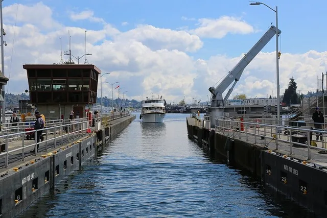 Seattle City Tour with Private Guide 4 hr - Image 4
