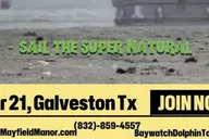 Galveston Haunted Harbor Tour thumbnail 6