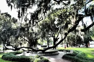 Savannah Scavenger Hunt Adventure thumbnail 4