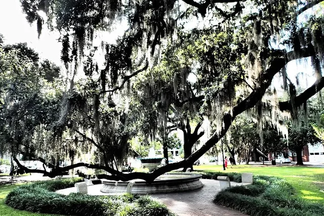 Savannah Scavenger Hunt Adventure - Image 4