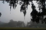 Savannah Ghost Walk with The Founder 90 min thumbnail 4