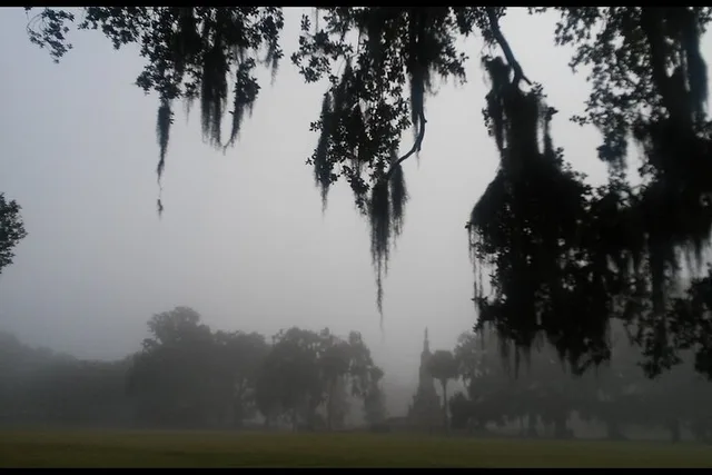 Savannah Ghost Walk with The Founder 90 min - Image 4